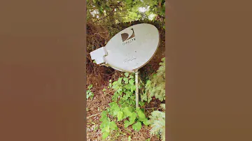 Satellite Dish