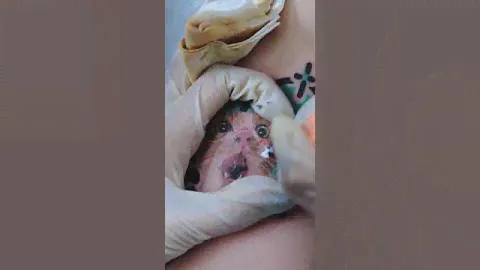 Mast Cyber Tattoo Cartridges Needles Work by Tattoo Artists | Lining Tattoo Tutorial On Real Skin