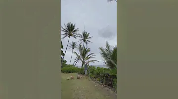 30 foot DX antenna mast next to the ocean!