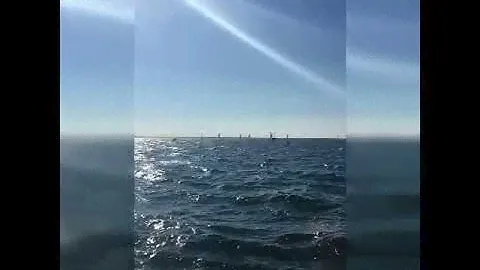 Hobie Wave Regatta Feb 2020 (2)